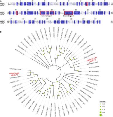 Functional Characterization of the Nep1-Like Protein Effectors of the Necrotrophic Pathogen – Alternaria brassicae